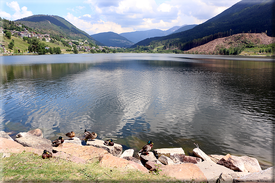 foto Lago della Serraia